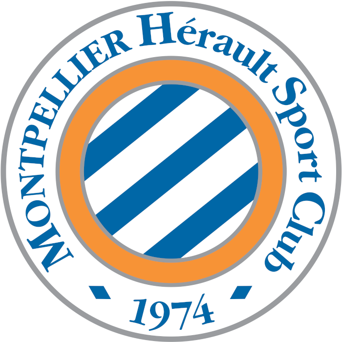 Logo MHSC