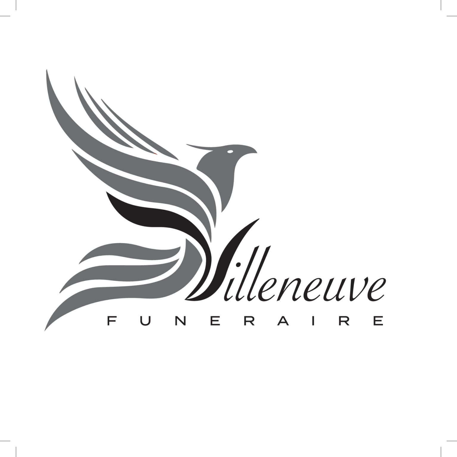 Logo Villeneuve